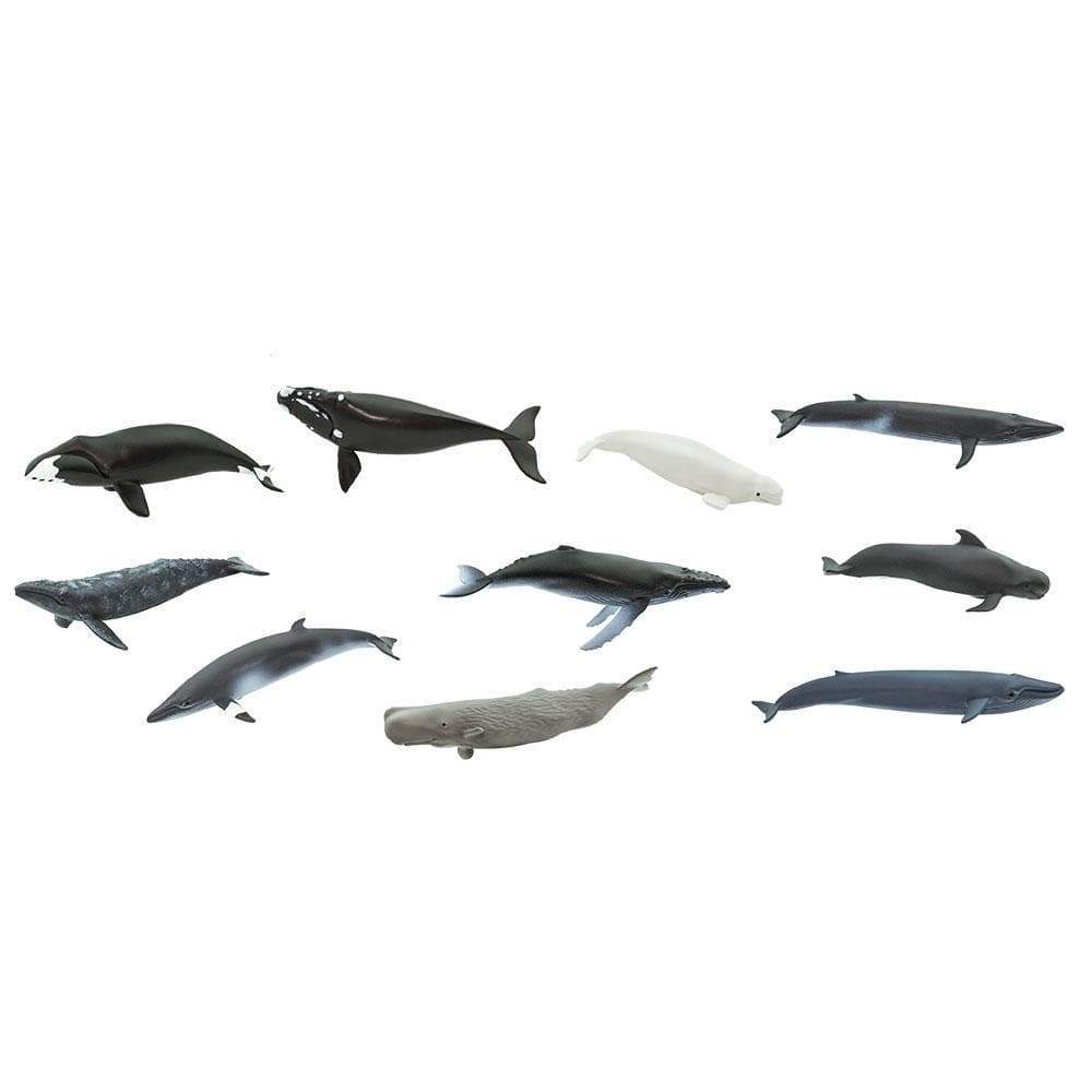 Whale TOOB®