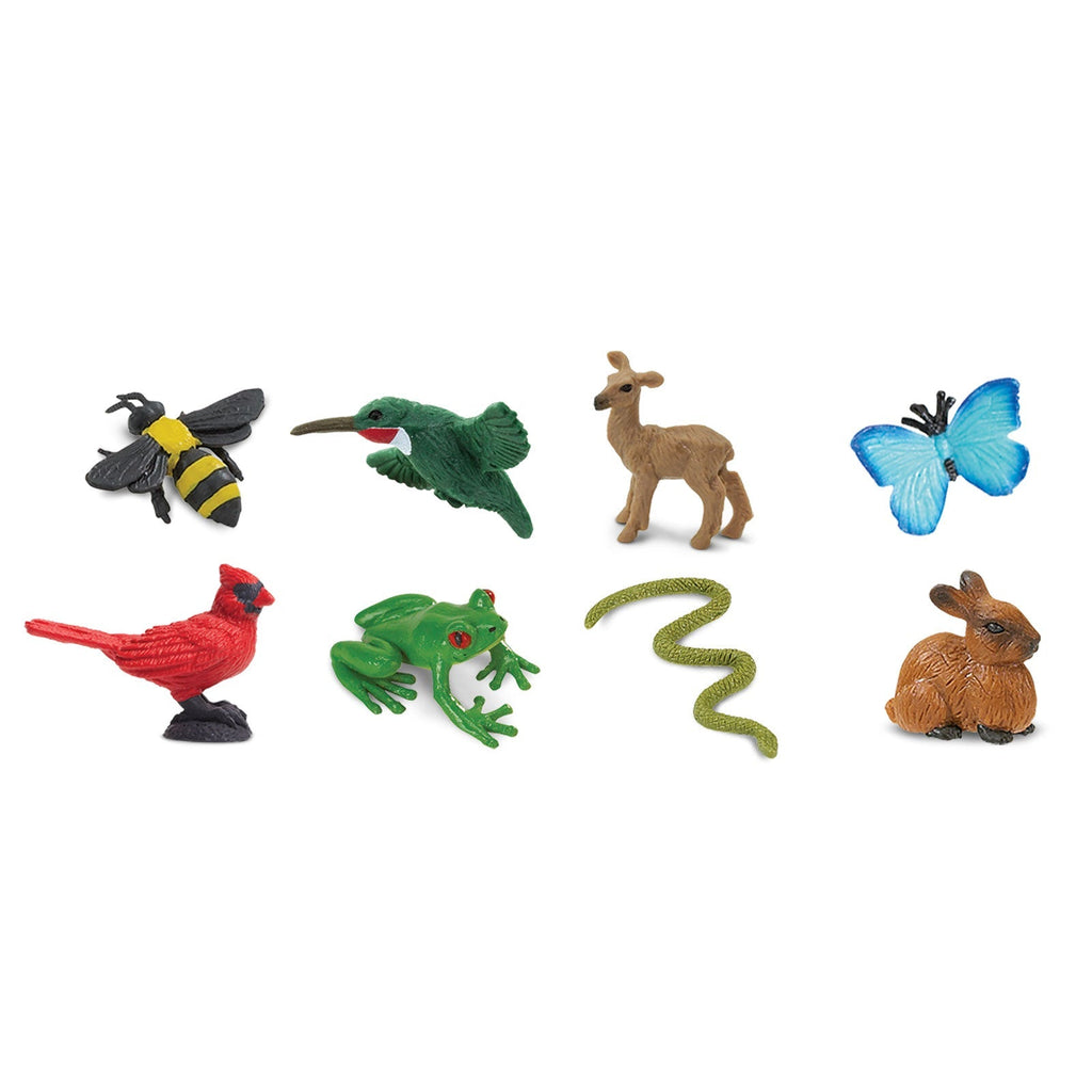 Backyard Fun Pack