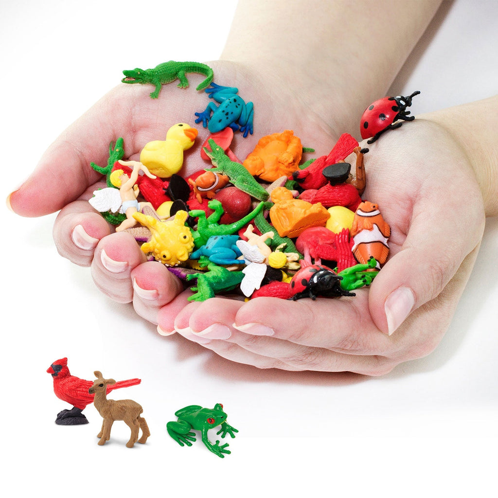 Backyard Fun Pack