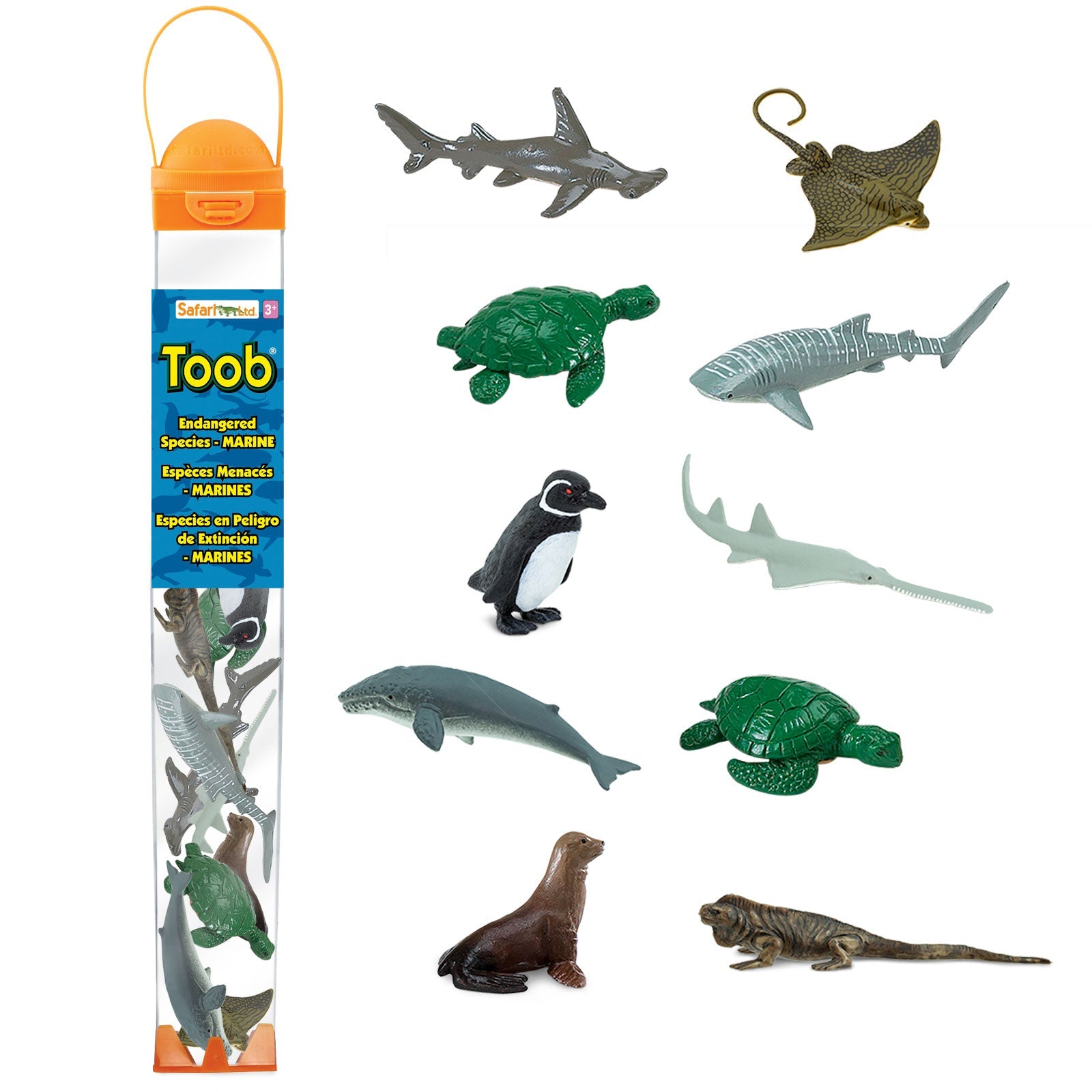 Endangered Species - Marine TOOB®