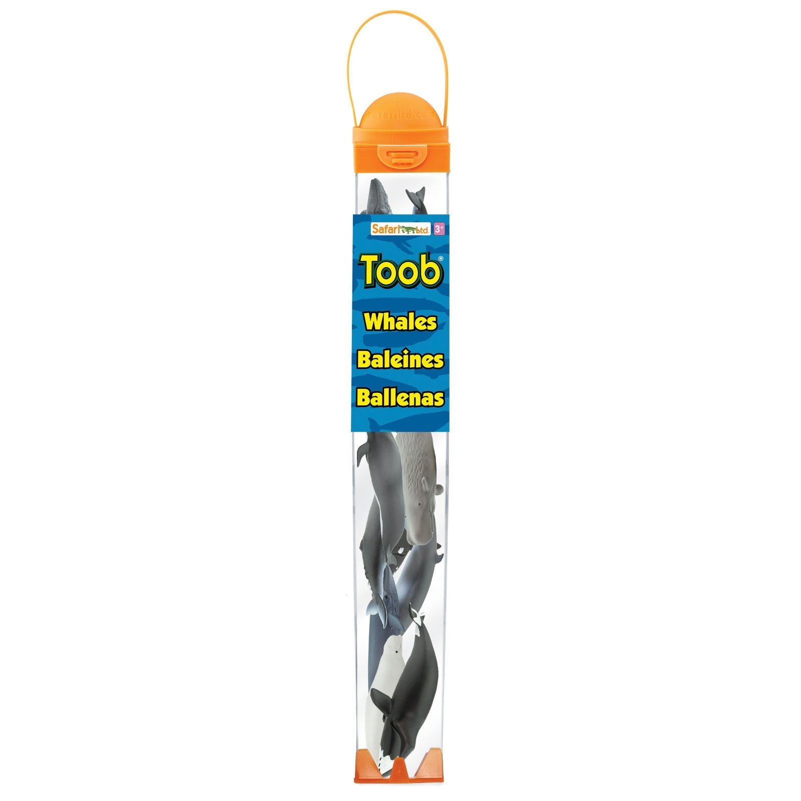Whale TOOB®